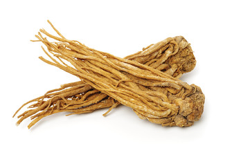 Angelica root used in chinese traditional herbal medicine, over white background. Radix angelicae sinensis,