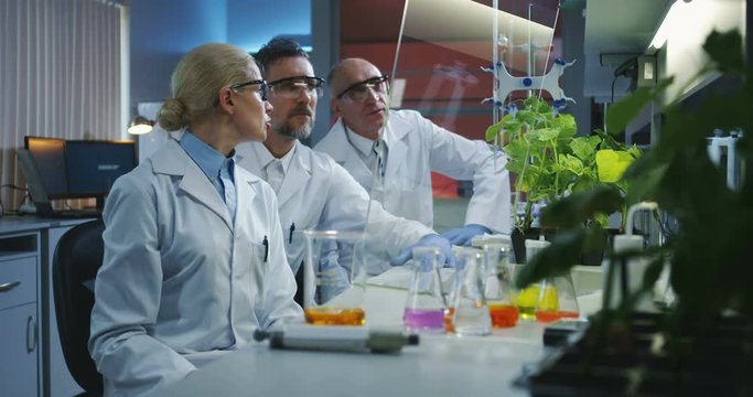 Scientists using a flat transparent display screen