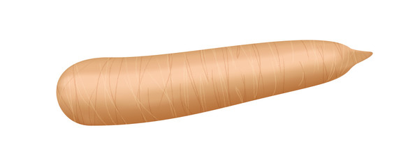 raw cassava fresh isolated on white background, cassava cut slice for tapioca flour industry or ethanol industry, pile yucca cassava tuber, raw manioc cassava in top view