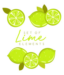 Set of fresh lime fruits, collection of vector illustrations