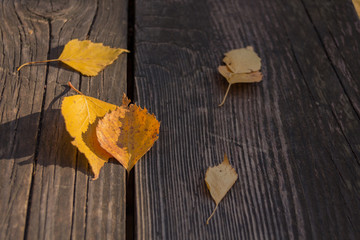 Autumn leaves on rustic wooden background.