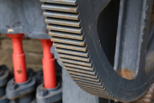 Kapuzenspinnen Bilder Durchsuchen 264 Archivfotos, und