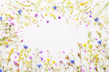 summer flowers on white paper background