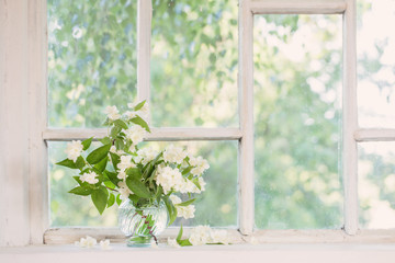 jasmine in vase on windowsill