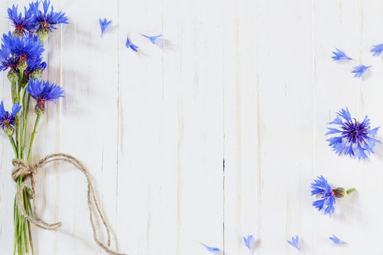 cornflowers on white wooden background