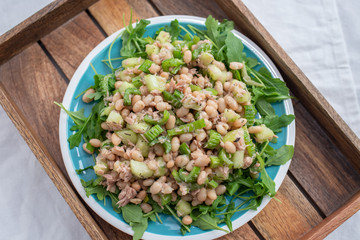 Salad with spinach, arugula, avocado, sprouted seeds and beans