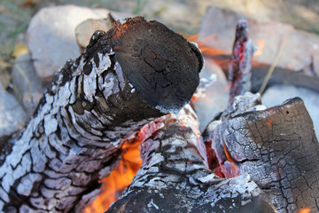 Flaming Logs On Fire