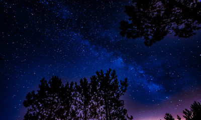 Naklejka premium milky way