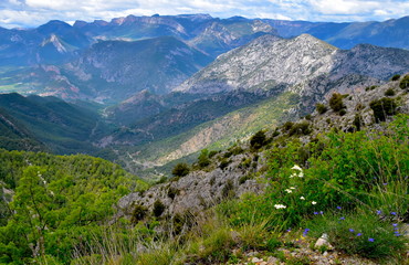 Fototapeta na wymiar Montagne catalane en Espagne