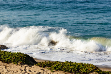 splashing wave on backwash and sandy beach, with iceplant and, sand