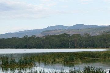 Lake against a mountain and forest background, Lake Elementaita, Kenya