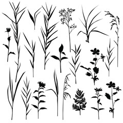 Fototapeta na wymiar Set of silhouette flowers and grass, spring and summer forest and garden field flowers and grass, black color isolated on white background