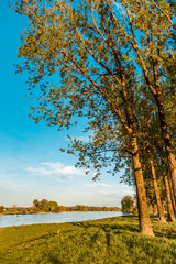 Fototapeta premium Beautiful view near Thundorf-Danube-Bavaria-Germany