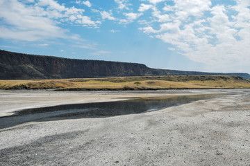 Algae and sand deposits against an arid background at Lake Magadi, Kenya