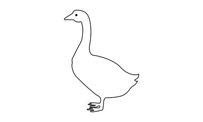 Goose vector illustration for farm related or wildlife designs