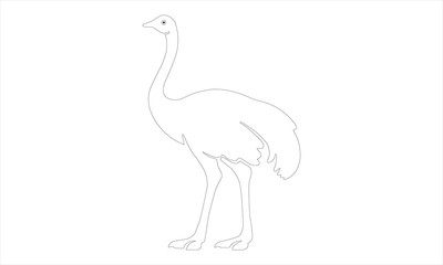 Ostrich icon in outline style isolated on white background. Bird symbol stock vector illustration. - Vector 