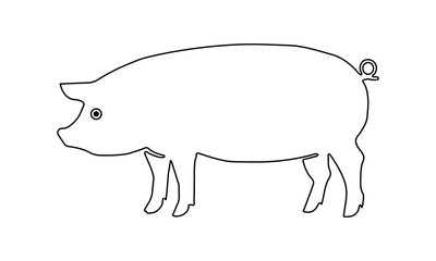 Pig line icon for agricultural or farm related illustrations