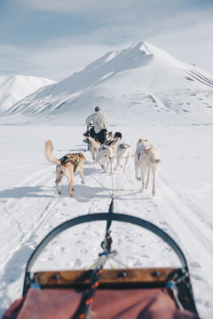 dogsledding in Svalbard with a snow covered mountain in the background