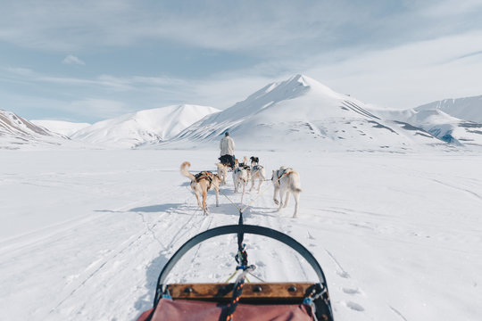 Dogsledding in Svalbard, Norway