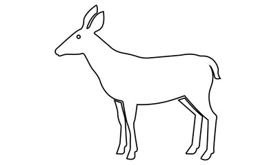 Deer line icon for wildlife or outdoor related designs