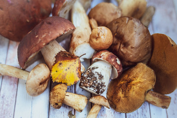Mushrooms on the table, autumn, mushroom background, porcini and brown cap boletus