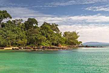 Green Palm branches Ocean coast wild tropical beach.