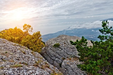 summer mountain landscape