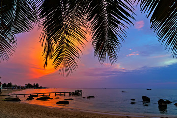 Obraz na płótnie Canvas Palm beach, Maldives islands silhouettes of palm trees at sunset