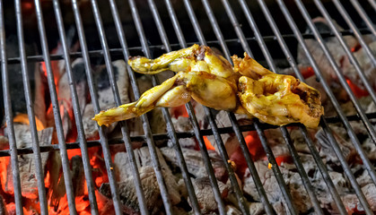 Frog Meat Grilled Charcoal BBQ