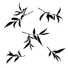 Fototapeta na wymiar Set silhouettes of tree branch with leaves , black color isolated on white background