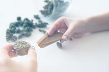 Marijuana use concept. Woman rolling a marijuana joint on white background. Woman preparing and...