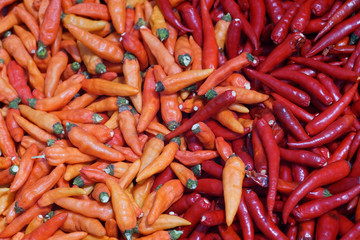 Mixed of orange chili and red chili pile in drying process