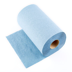 Paper towel roll isolated on white background. Roll of toilet paper.