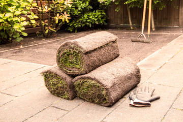 Preparing for applying natural turf rolls in the garden.- Image