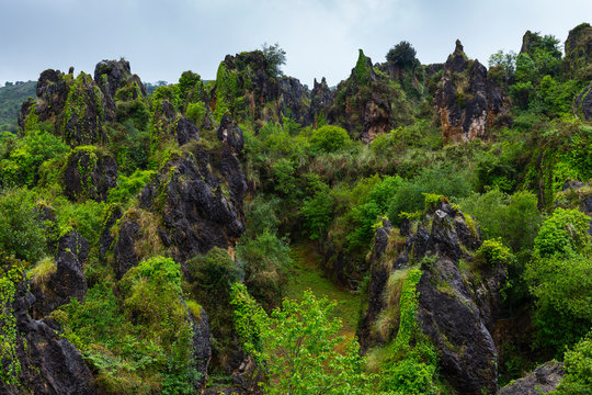 Natural Park of Macizo de Pe&ntilde;a Cabarga, Cantabria, Spain, Europe
