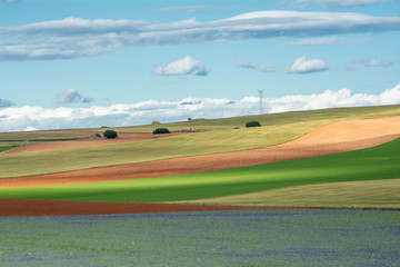 Obraz premium Paisaje