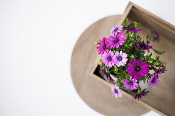 African daisy flowers bouquet, copy space