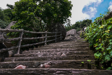 Fototapeta na wymiar stairs in nature