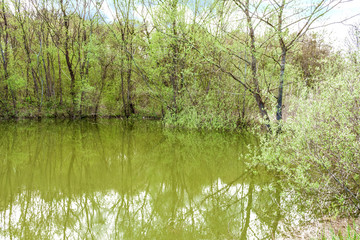 Fototapeta premium beautiful fine, lovely, pretty, attractive forest lake among the mountains of the North Caucasus