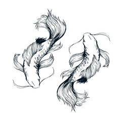 Beautiful fishes ink drawing vector