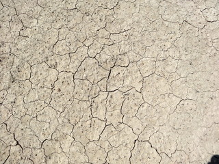 Désert en Israël