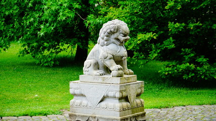 Obraz premium china Löwe