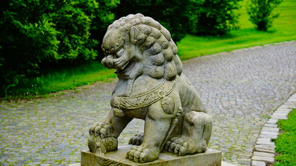 china Löwe