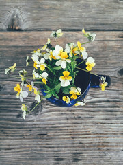 Yellow kiss-me-quick flowers in blue ceramic cup, on wooden veranda background. Still life in rustic style. Top view. Summer or spring in garden, countryside lifestyle concept. Copy space