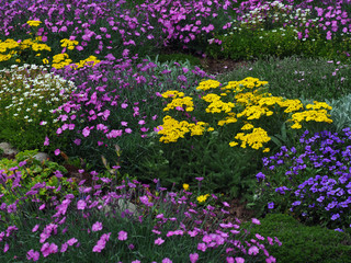 Blühender Steingarten © Pixelmixel