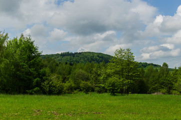 Panorama
