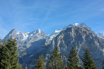 Obraz premium Morning view on Bernese range on beautiful village in mountain scenery, Grindelwald