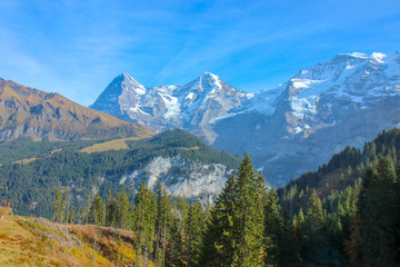Morning view on Bernese range on beautiful village in mountain scenery, Grindelwald