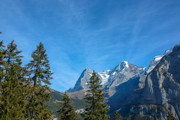 Obraz premium Morning view on Bernese range on beautiful village in mountain scenery, Grindelwald