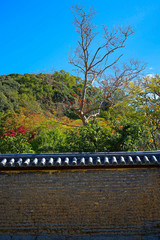 Japanese traditional earthen and landscape